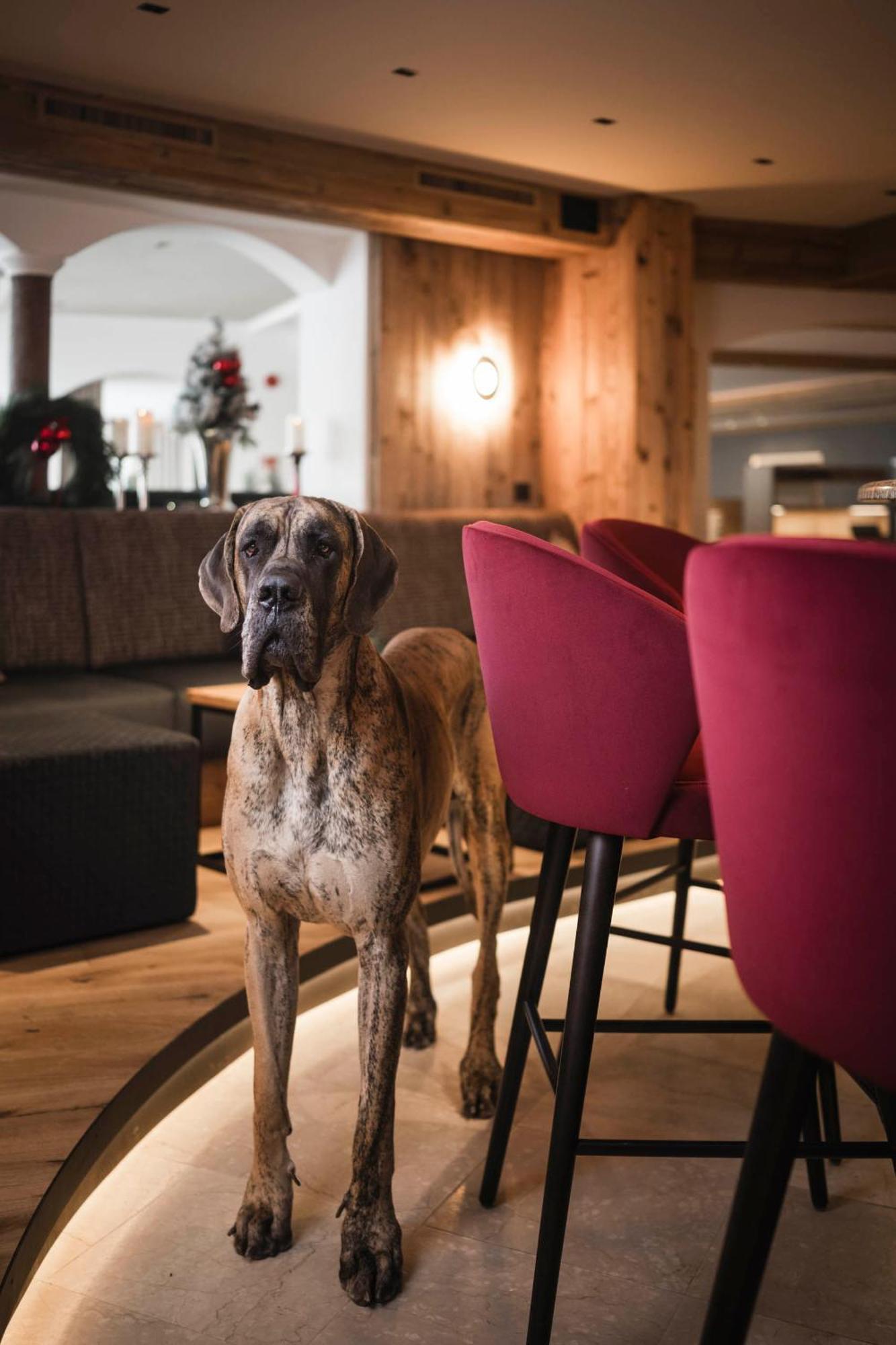 Alpenheim Charming & Spa Hotel 오르띠세이 외부 사진